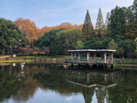 SQL基础：第8章 SQL高级处理 - 讨论 - 力扣（LeetCode）